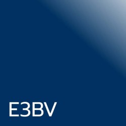 Blu Vivo