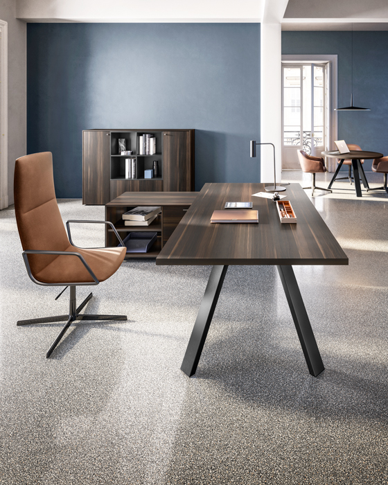 DOMINO EXE - About Office