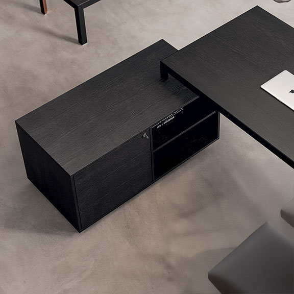 DOMINO EXE - About Office