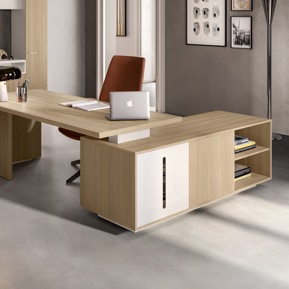 DOMINO EXE - About Office