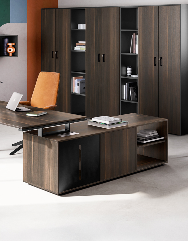 DOMINO EXE - About Office