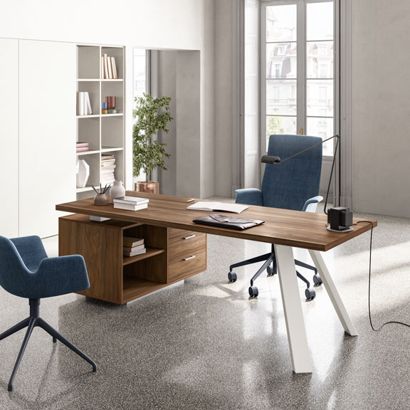 FUNNY PLUS_Gamba K - About Office