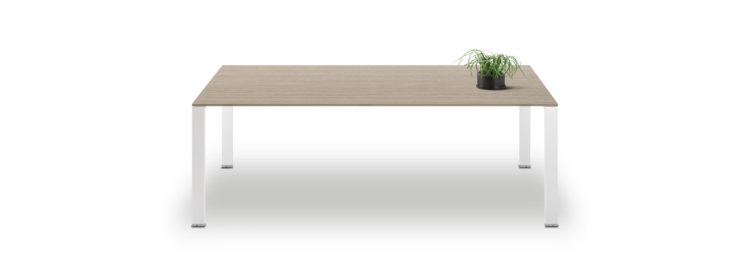 FUNNY PLUS_Gamba U - About Office