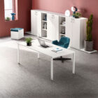 FUNNY PLUS_Gamba U - About Office