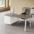 DOMINO - About Office