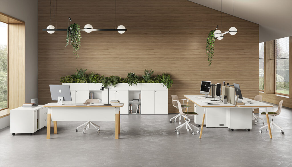 FUNNY_YES SOFT - About Office