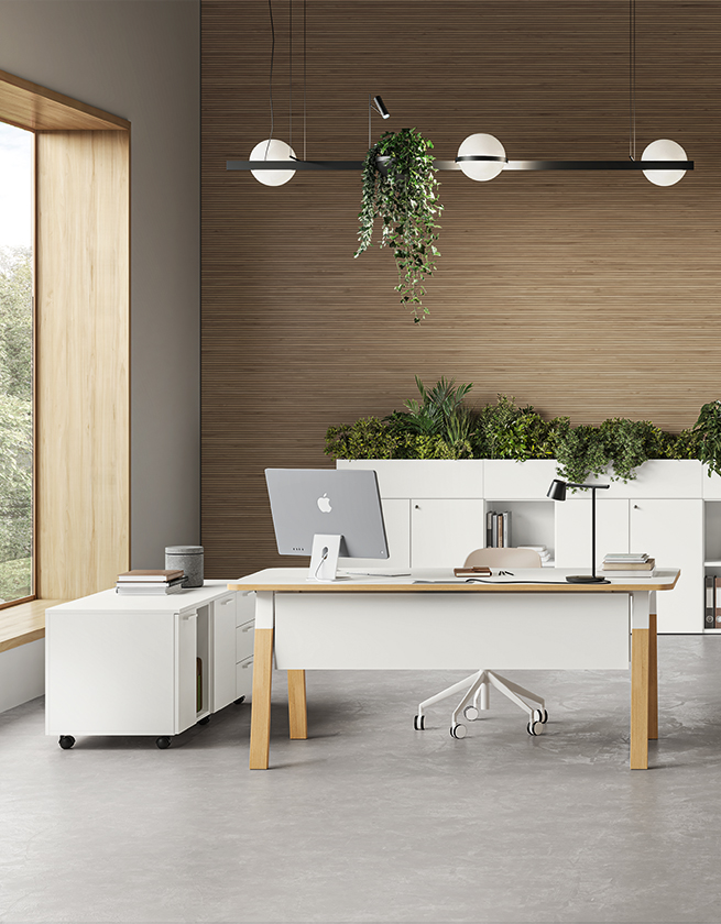 FUNNY_YES SOFT - About Office