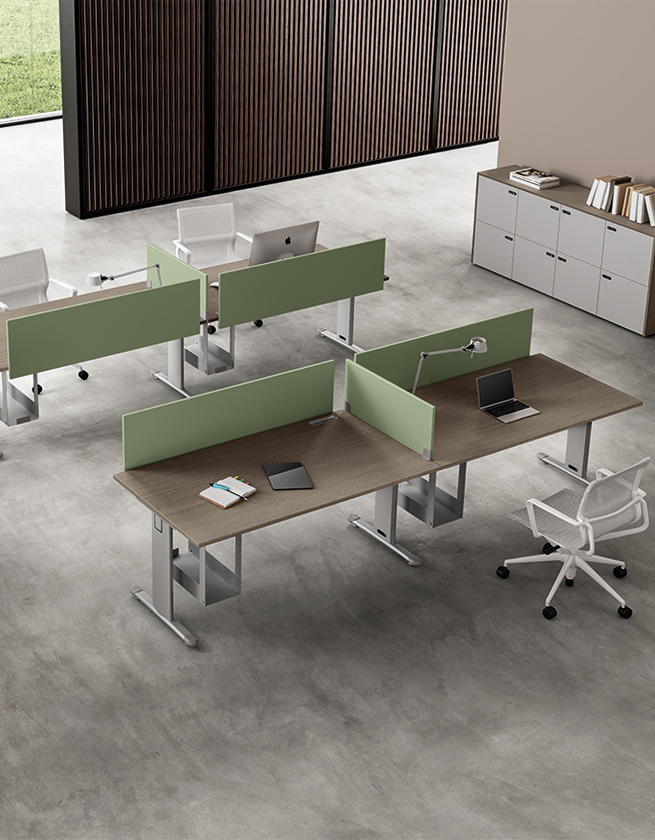 FUNNY_Gamba T - About Office